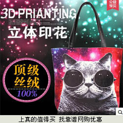 爵士兰盾  韩版潮款原创可爱手绘猫图案单肩包  拍下45元包邮