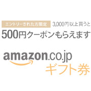 日本亚马逊购买3000日元礼品卡 可送500日元