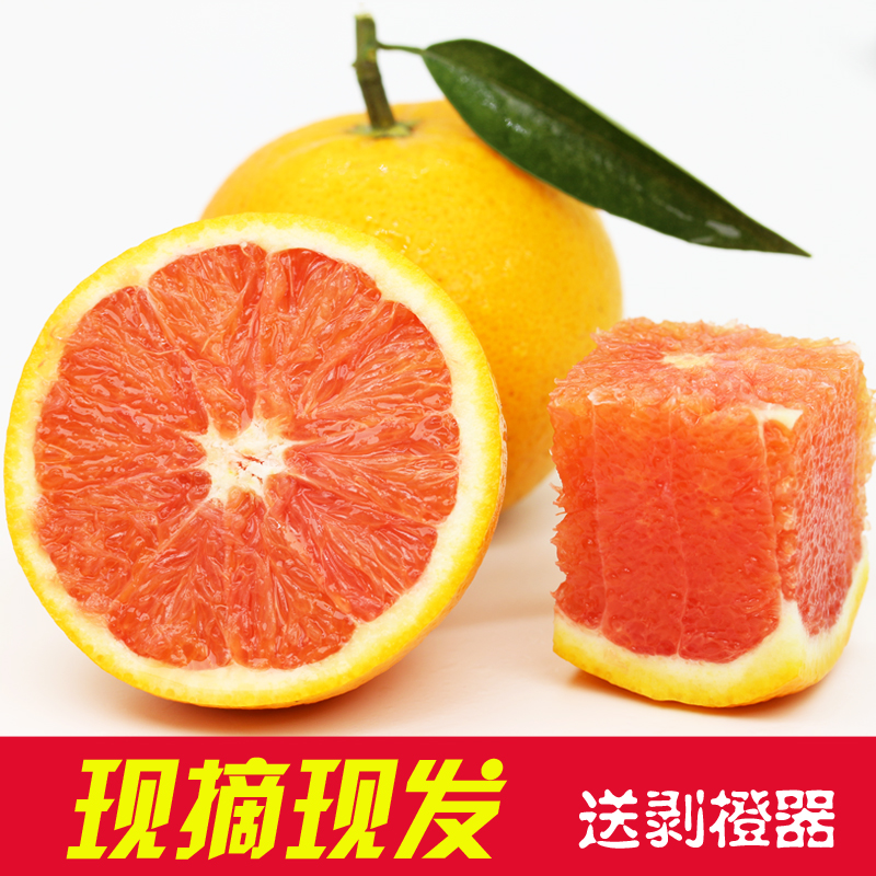 吃货福利 秭归中华红血橙 标准果5斤精美礼品装